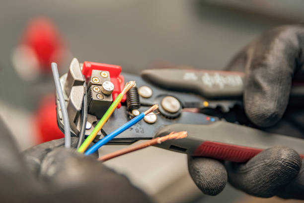 Best Local Electrician Companies  in Paw Paw Lake, MI