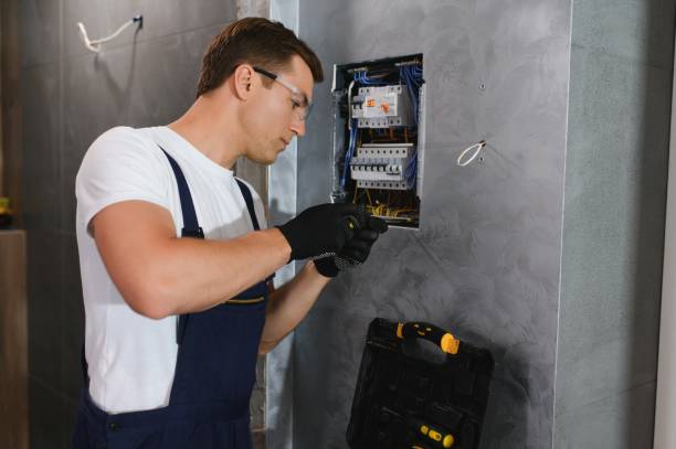 Best Industrial Electrical Services  in Paw Paw Lake, MI