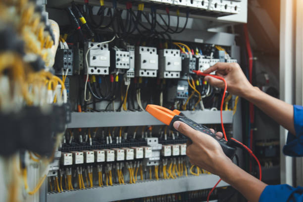 Best Residential Electrician Services  in Paw Paw Lake, MI