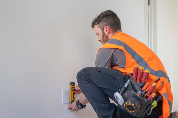 Best Generator Installation Services  in Paw Paw Lake, MI