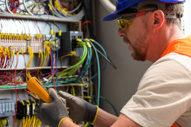 Best Affordable Electrician  in Paw Paw Lake, MI